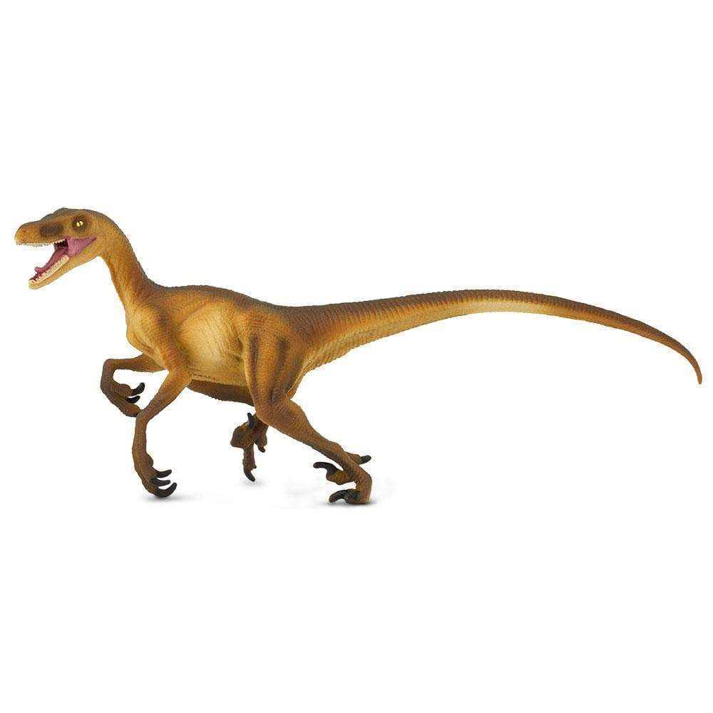 Safari LTD Velociraptor