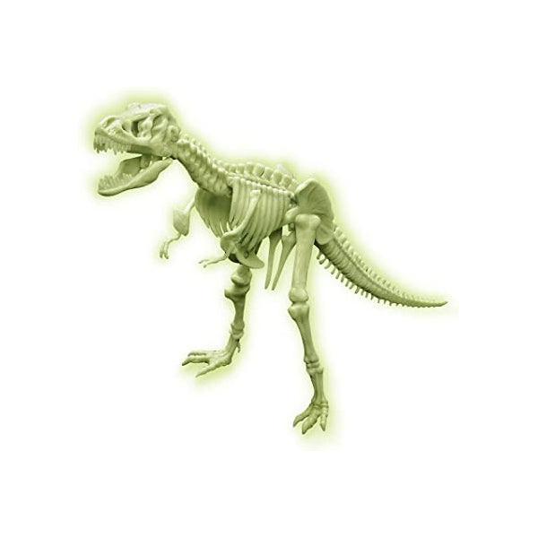 Sci:Bits Glow T. rex Skeleton Kit