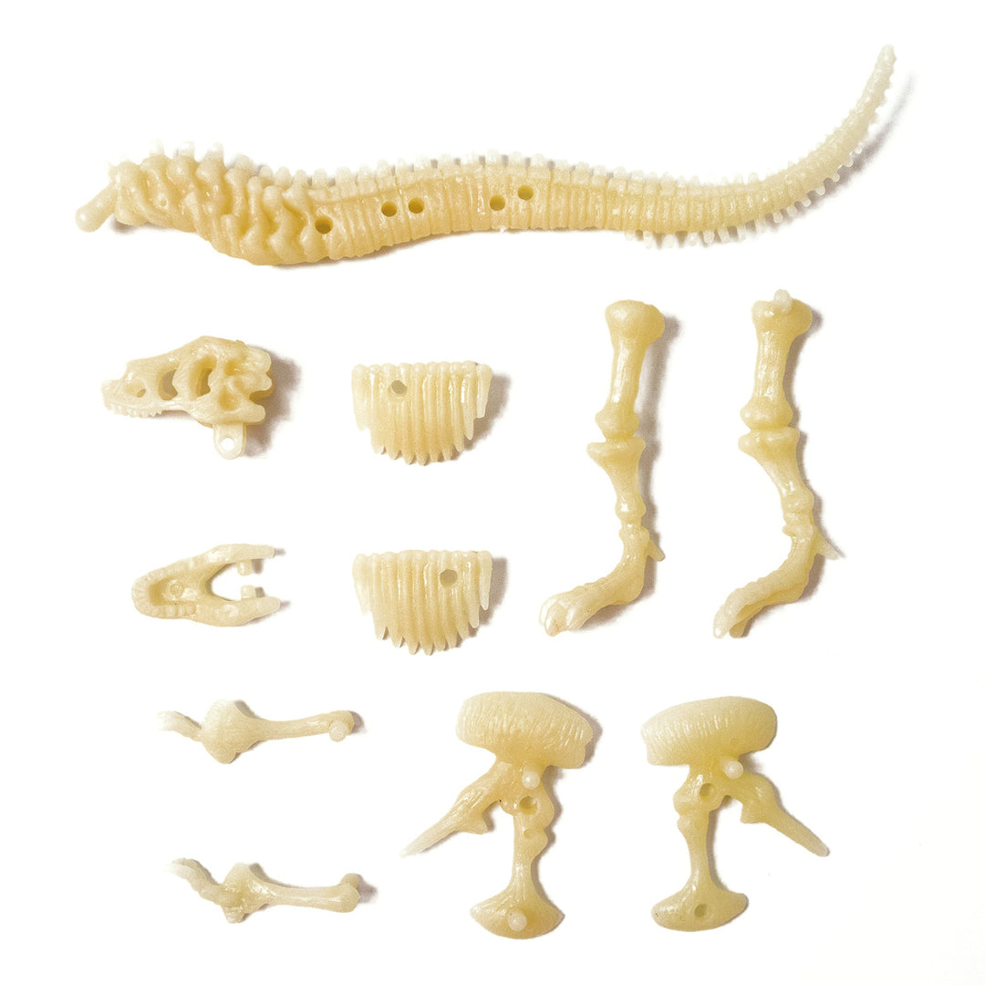 Sci:Bits Glow T. rex Skeleton Kit