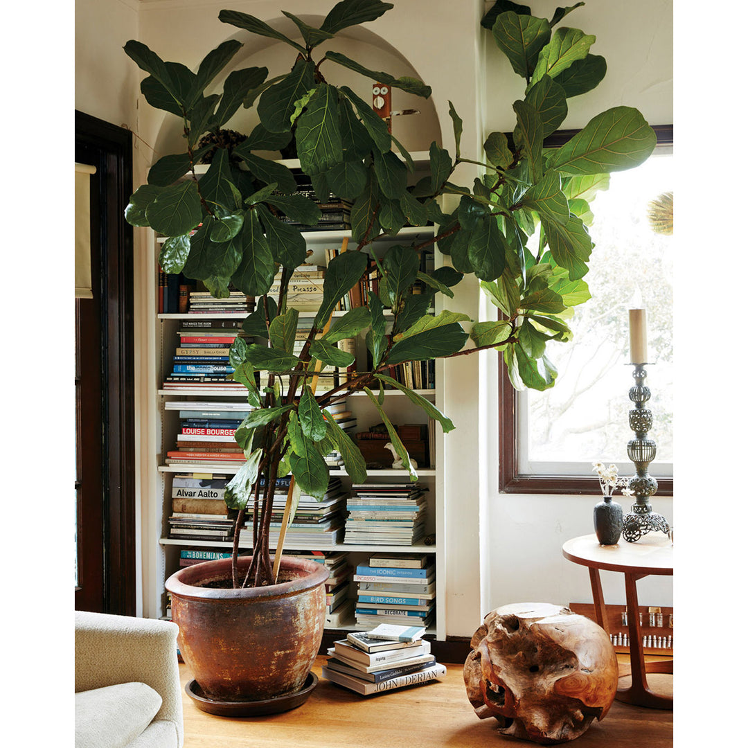 Design by Nature: Creating Layered, Lived-in Spaces Inspired by the Natural World