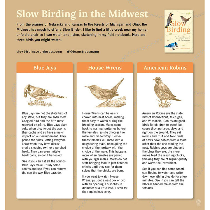 Slow Birding: The Art and Science of Enjoying the Birds in Your Own Backyard