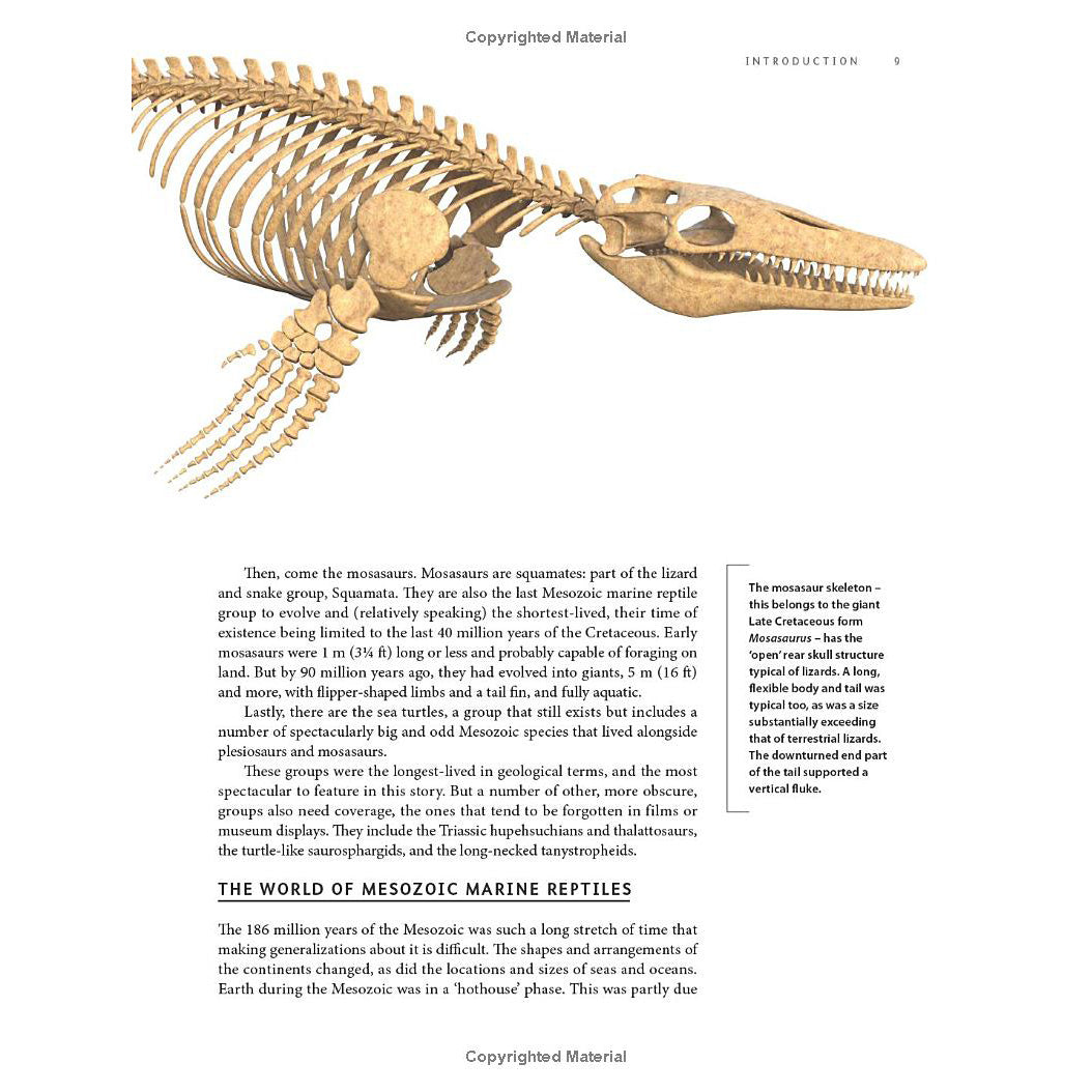 Ancient Sea Reptiles: Plesiosaurs, Ichthyosaurs, Mosasaurs, and More