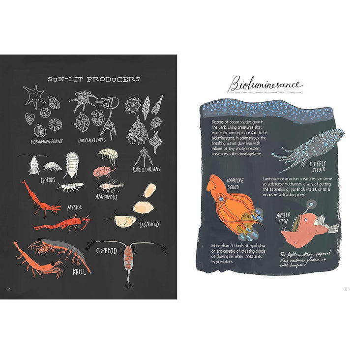Ocean Anatomy: The Curious Parts & Pieces of the World Under the Sea