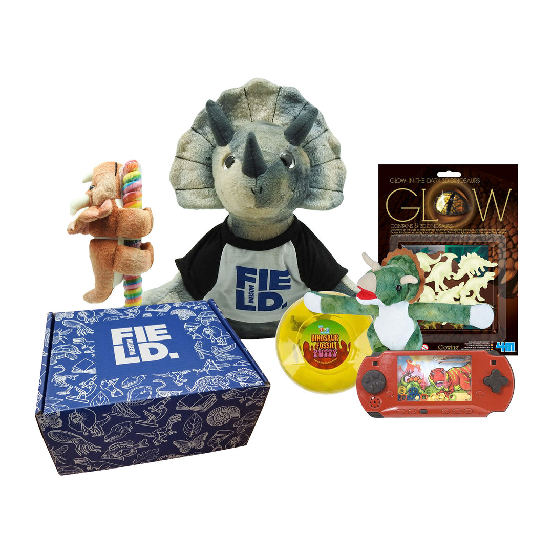 Kid's Triceratops Toy Bundle with Gift Box