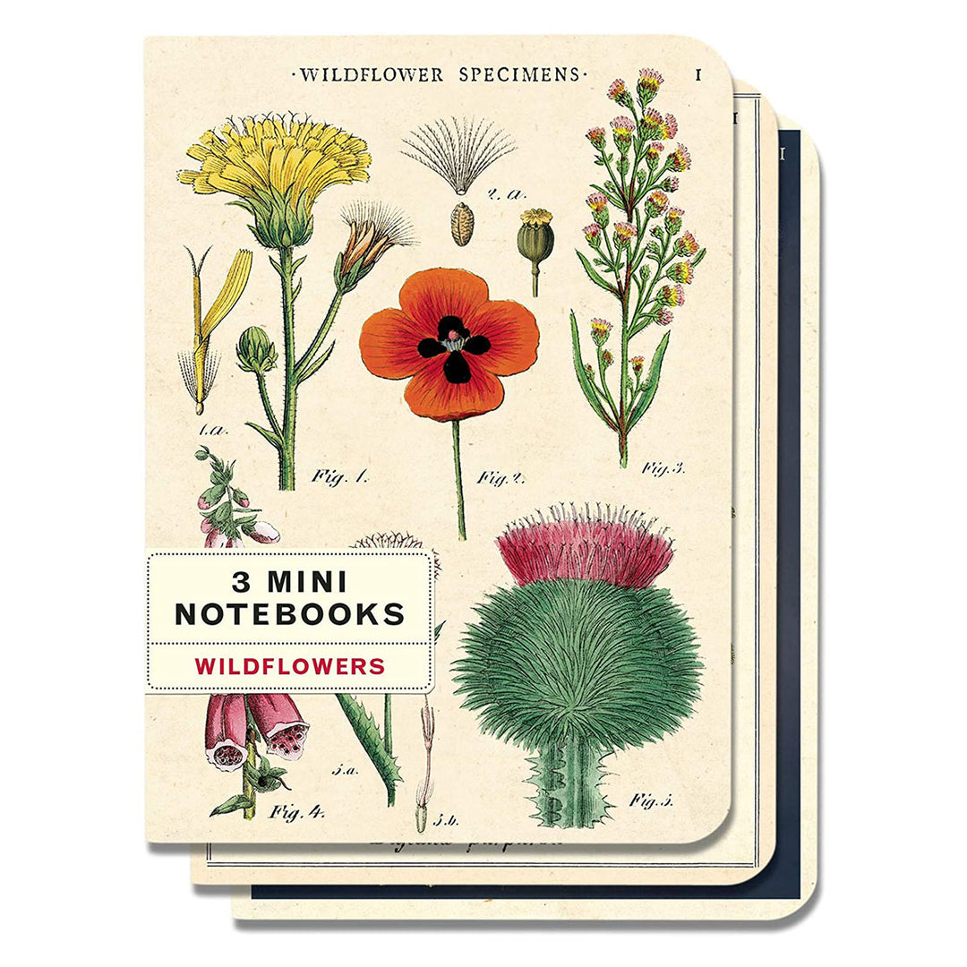 Wildflowers Notebook Set