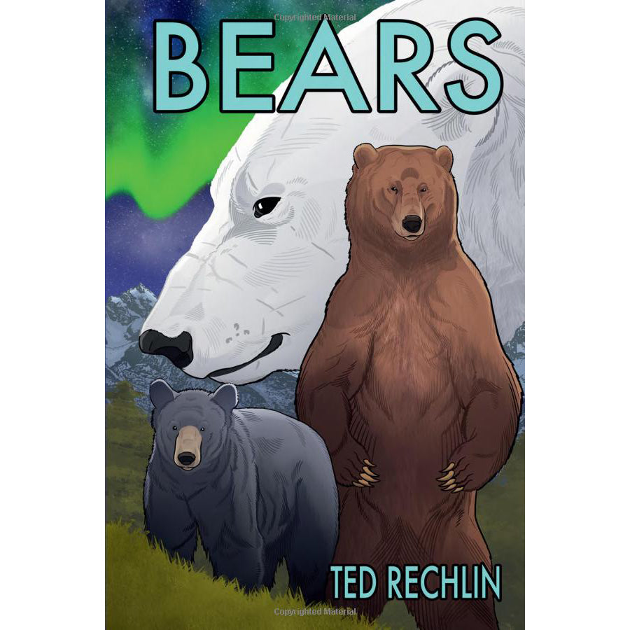 Bears [Book]