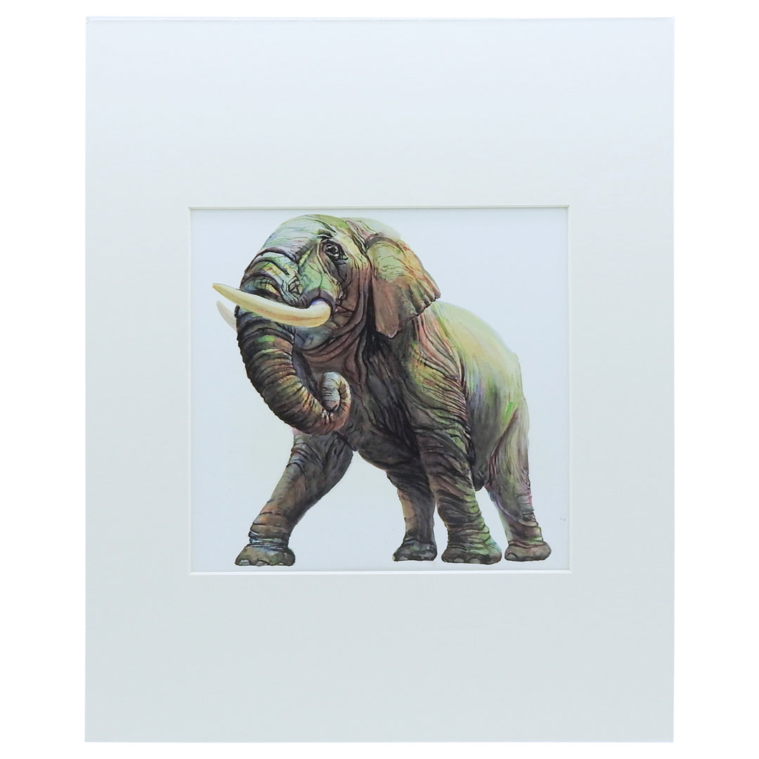Peggy Macnamara Elephant Print | Field Museum Store