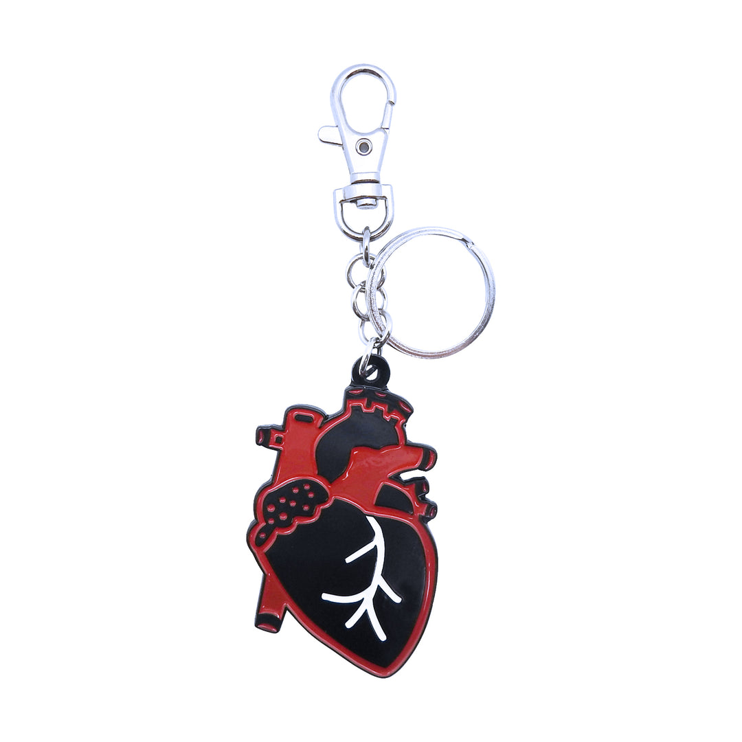 Anatomical Heart Keychain | Field Museum Store