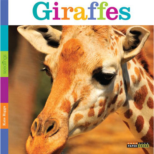 Seedlings: Giraffes | Field Museum Store