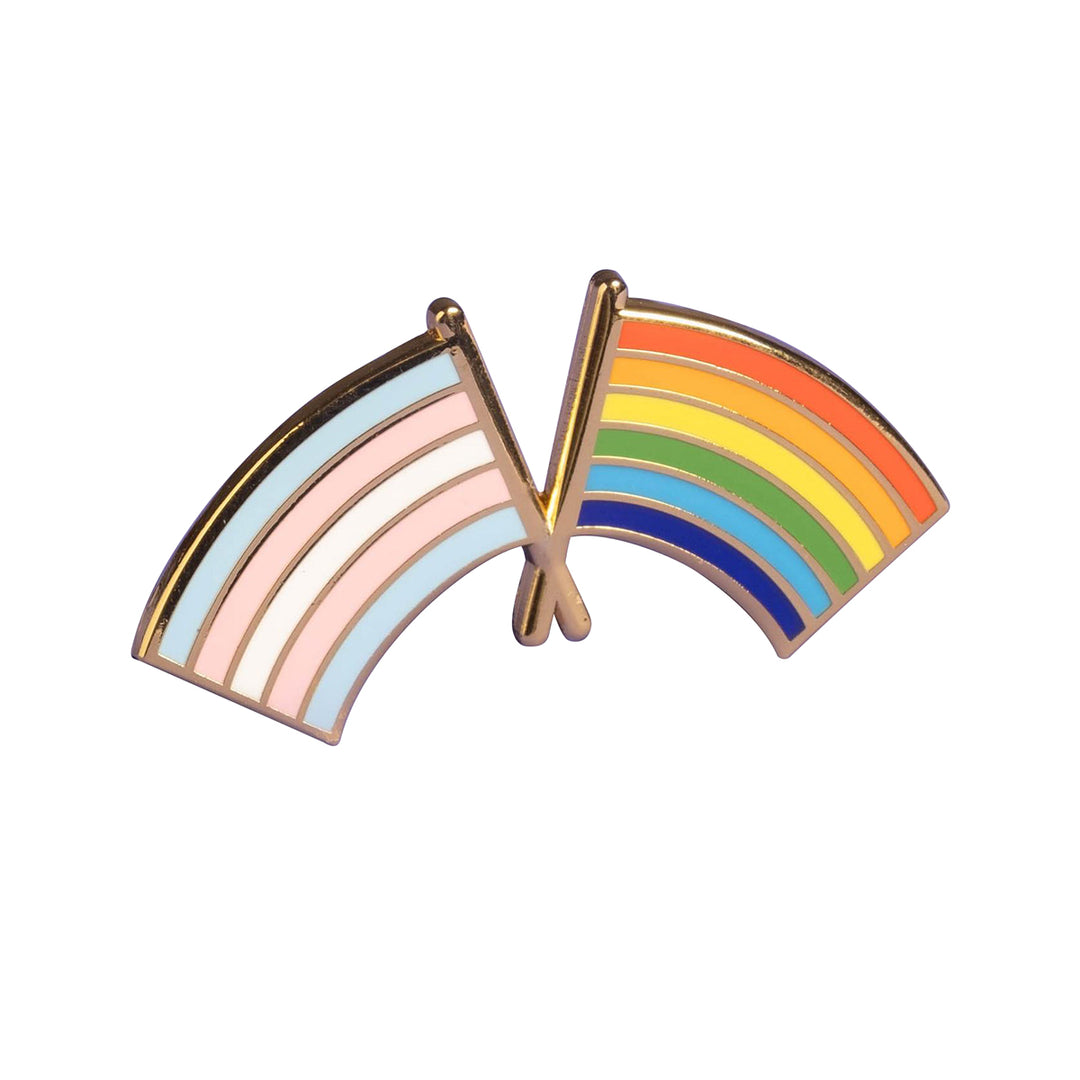 Trans and LGBTQ+ Pride Flag Combo Pin