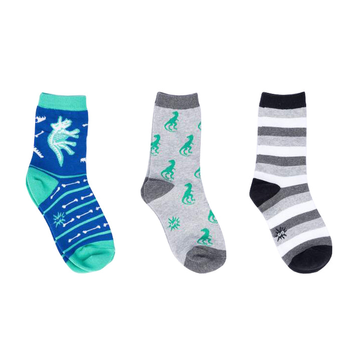 Youth Arch-eology 3-Pack Socks