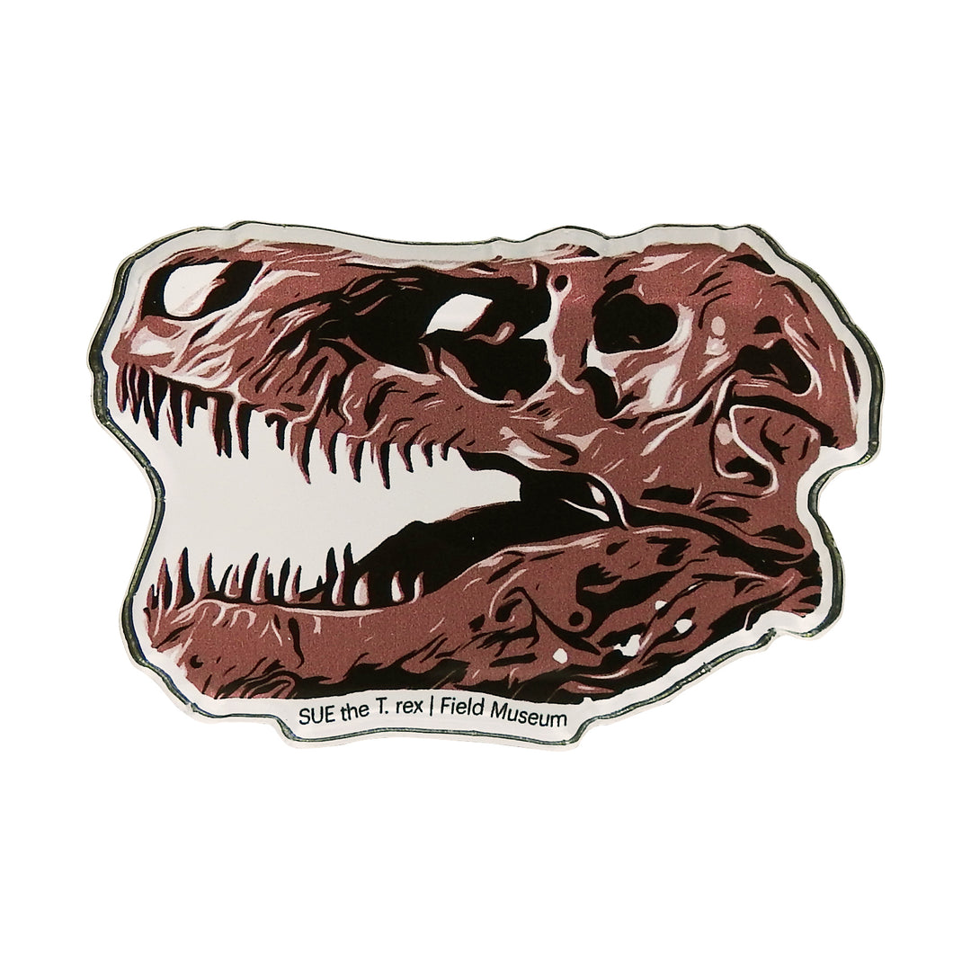 SUE the T. rex Skull Acrylic Magnet Refrigerator Magnets Wincraft   