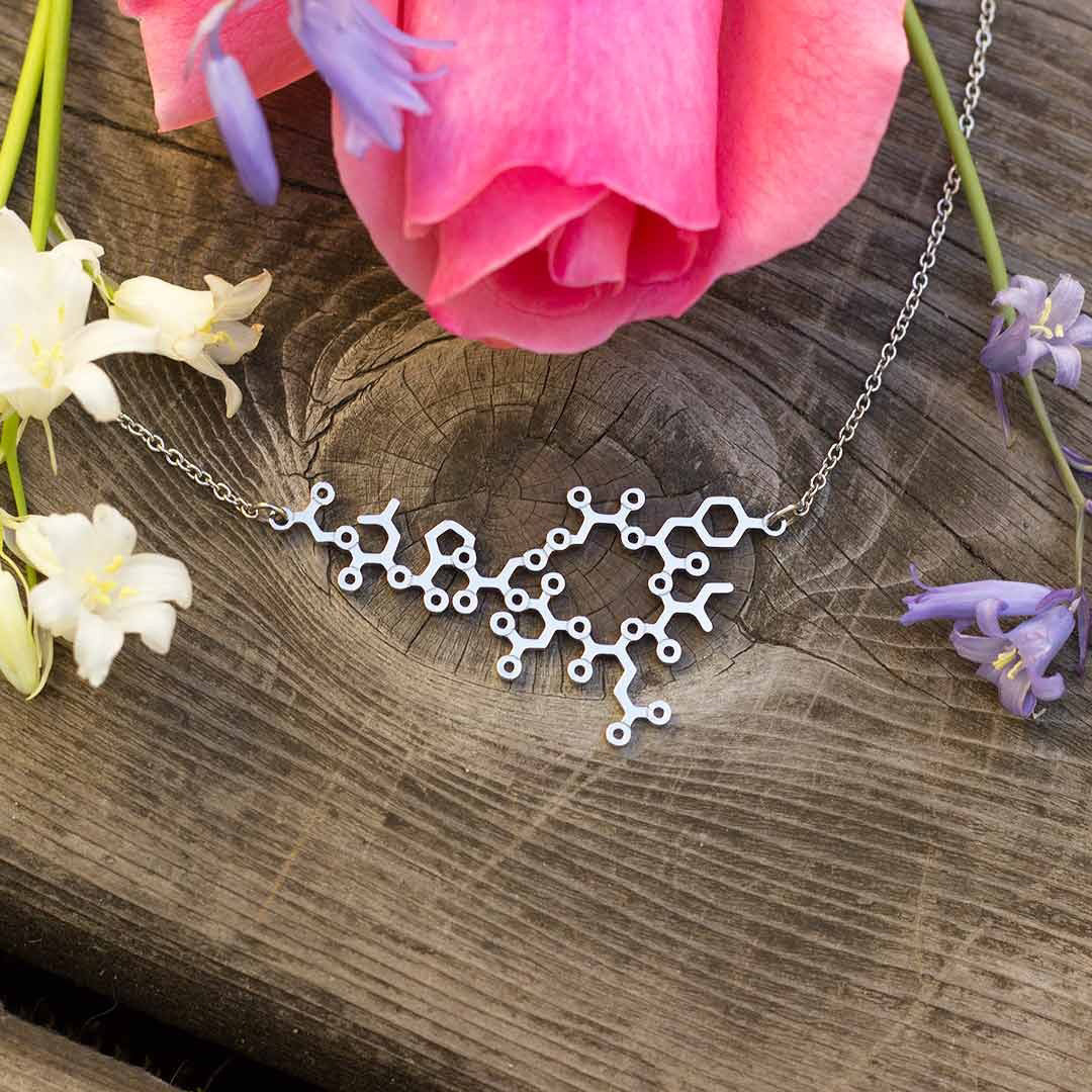 OXYTOCIN NECKLACE SILVER