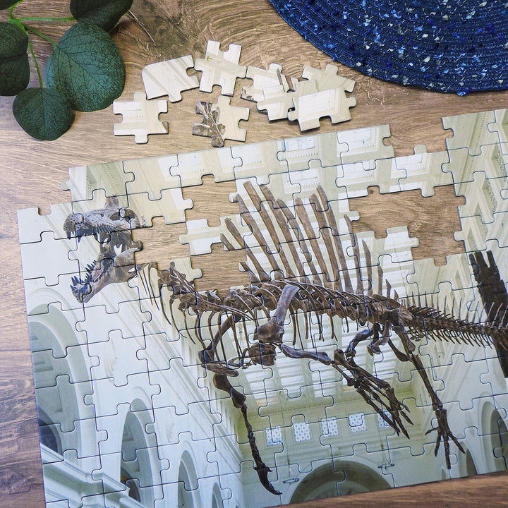 Sobek the Spinosaurus 100 Piece Puzzle  Campus Customs   