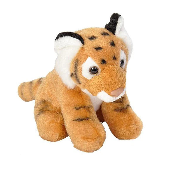 Pocketkins Eco Tiger Plush  Wild Republic   