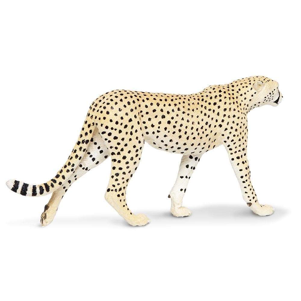 Cheetah Toy Figurine  Safari Ltd   