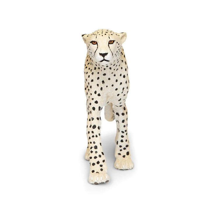 Cheetah Toy Figurine  Safari Ltd   