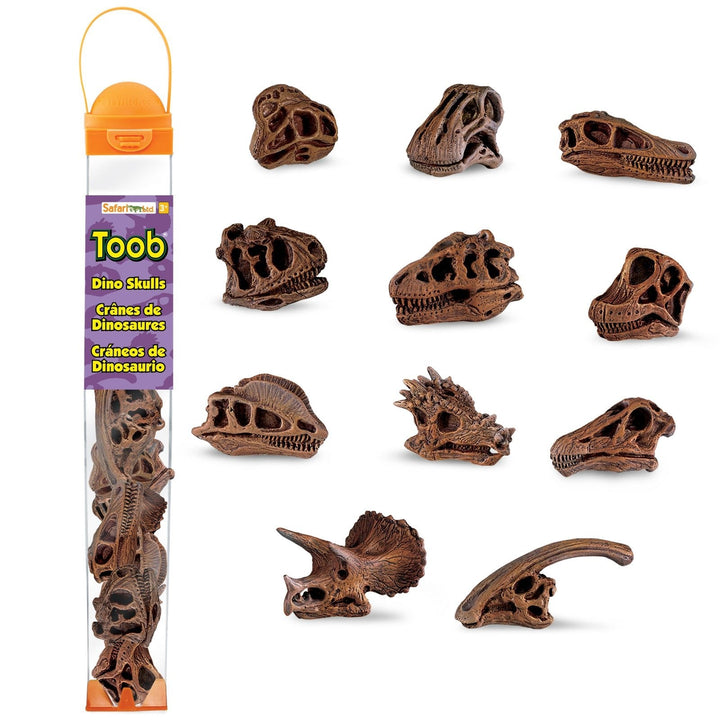 Dinosaur Skulls TOOB  Safari Ltd   