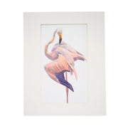 flamingo-print-peggy-macnamara