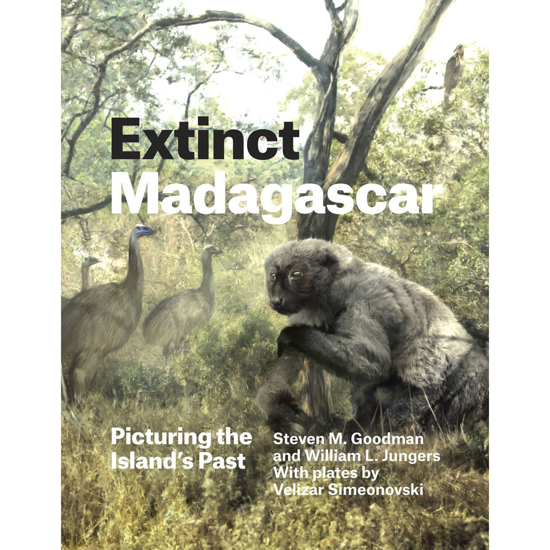 Extinct Madagascar: Picturing the Island's Past