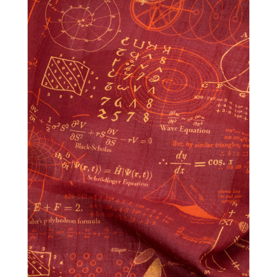 Equations That Changed the World Scarf