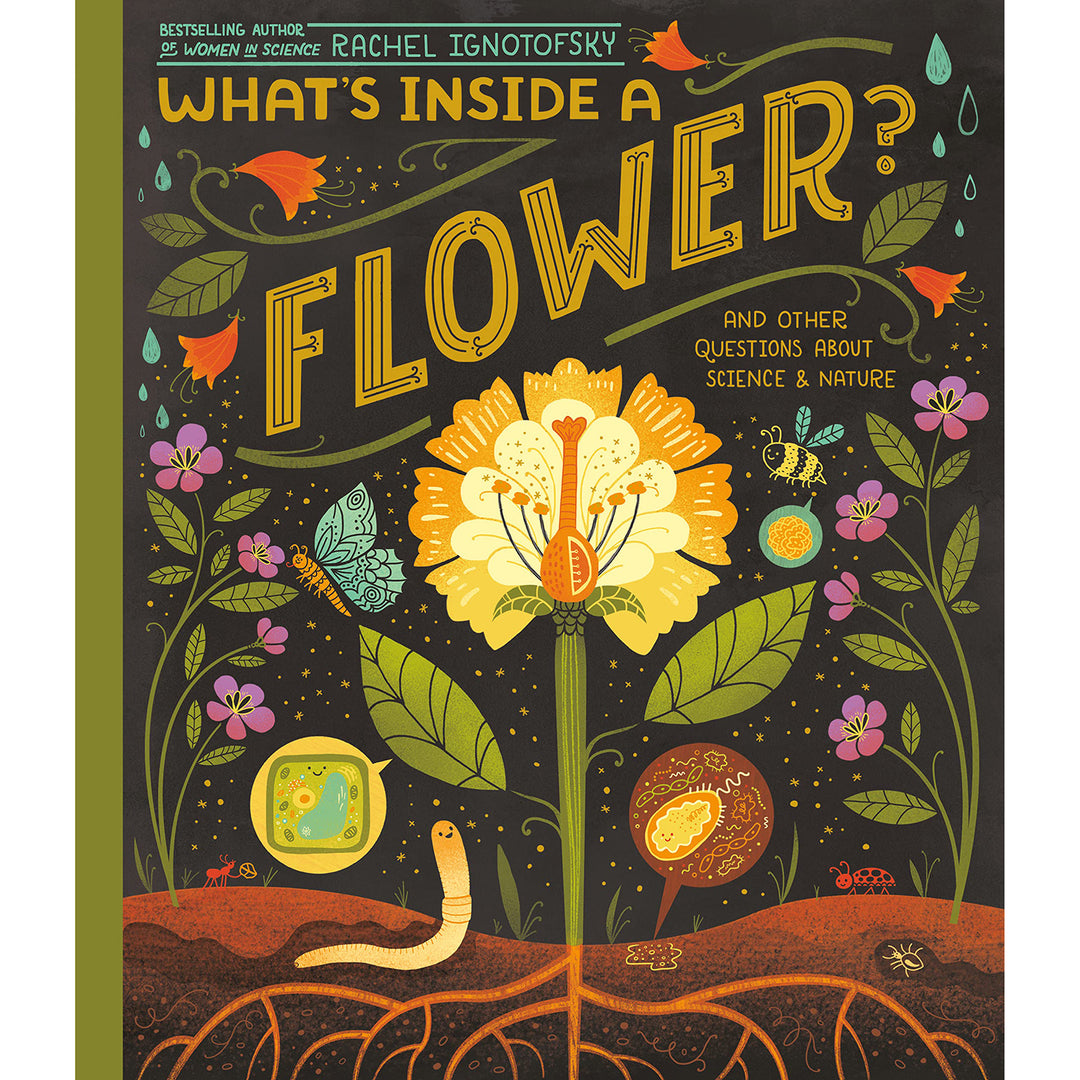 What's Inside A Flower? Paperback