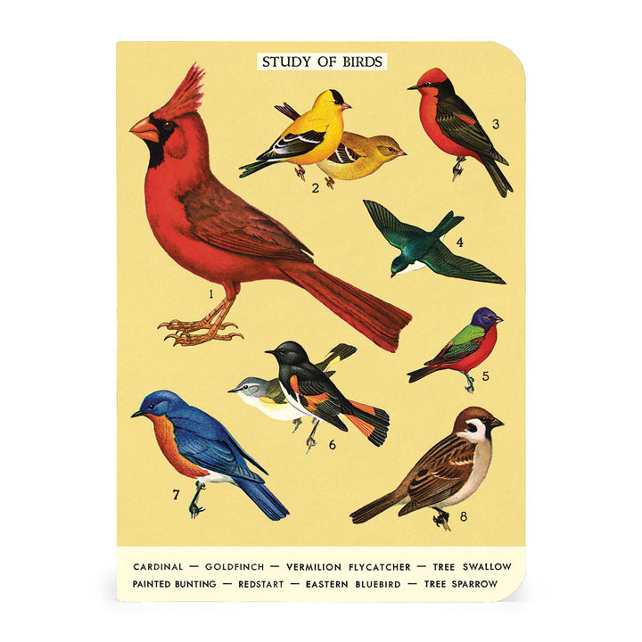 Birdwatching Notebook Set