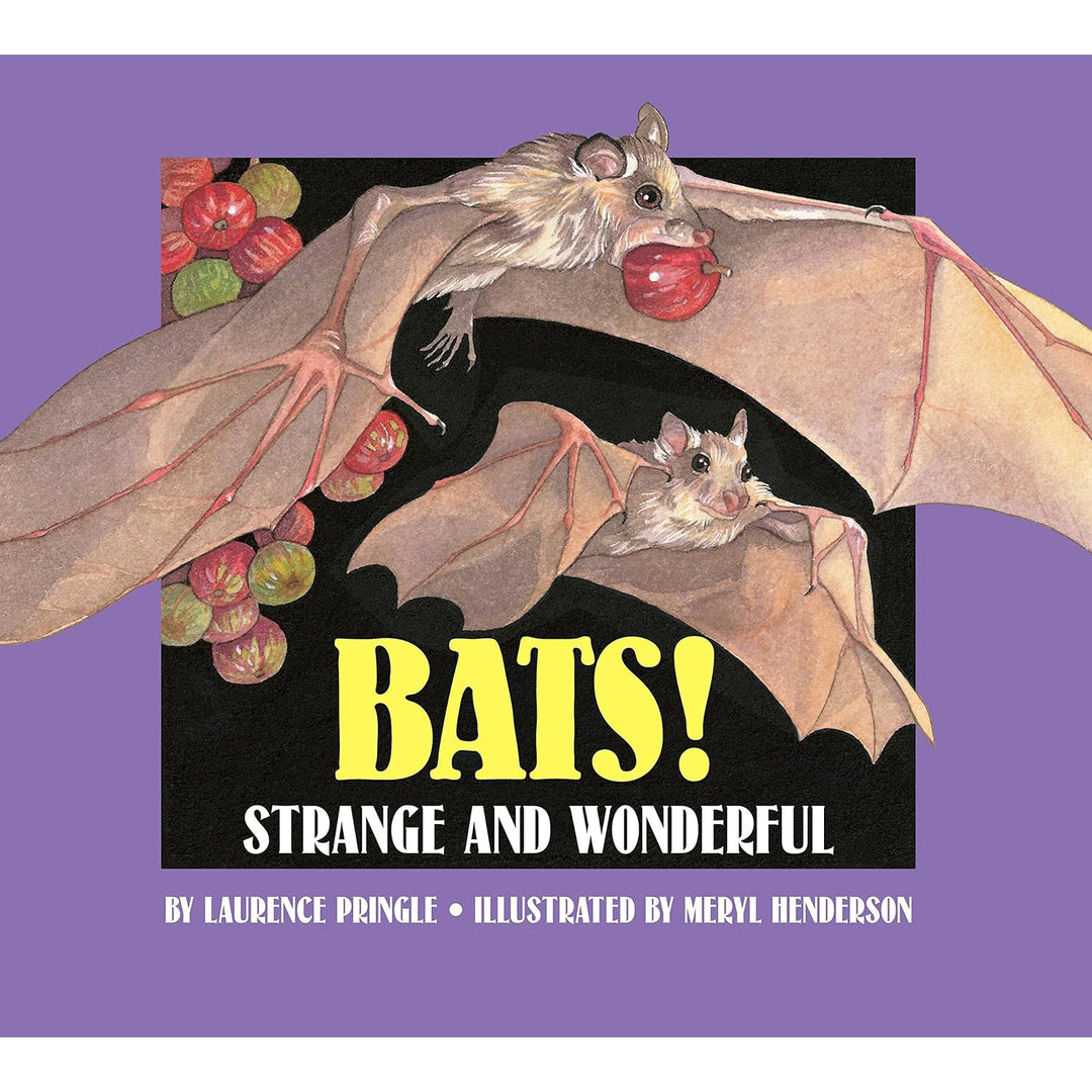 Bats!: Strange and Wonderful