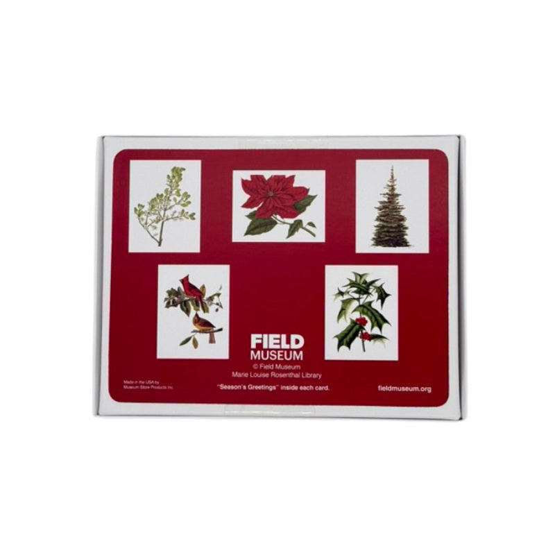 Holiday Notecard Set Back