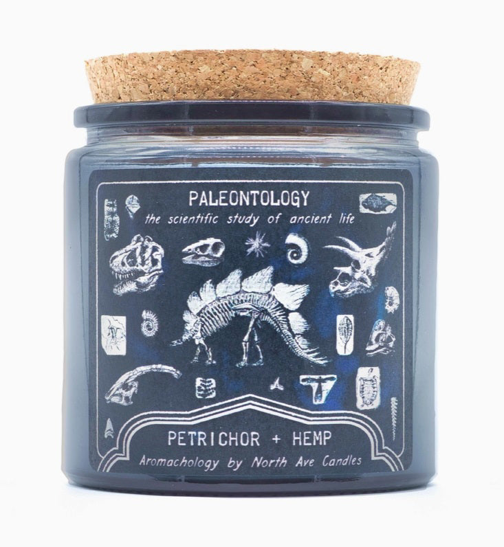 Paleontology Candle