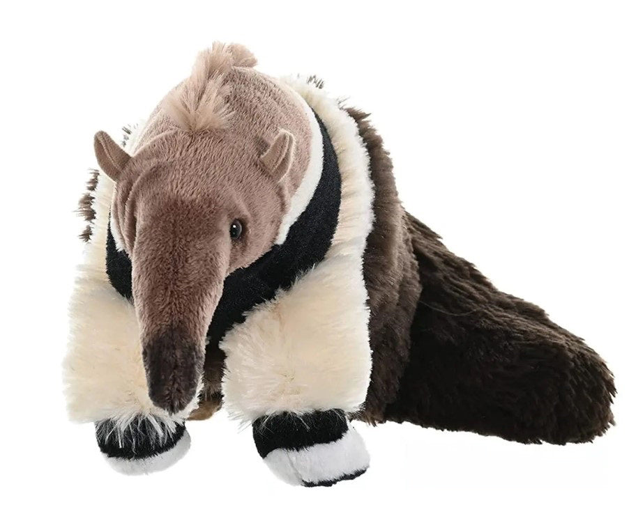 CORE ANTEATER
