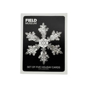 Snowflake Holiday Card Set Front