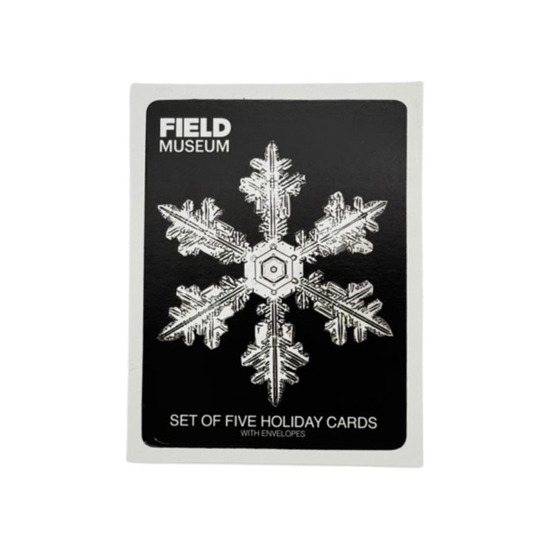 Snowflake Holiday Card Set Front