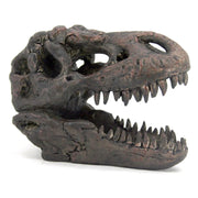 Tyranosaurus Skull Replica