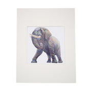 elephant-print-peggy-macnamara