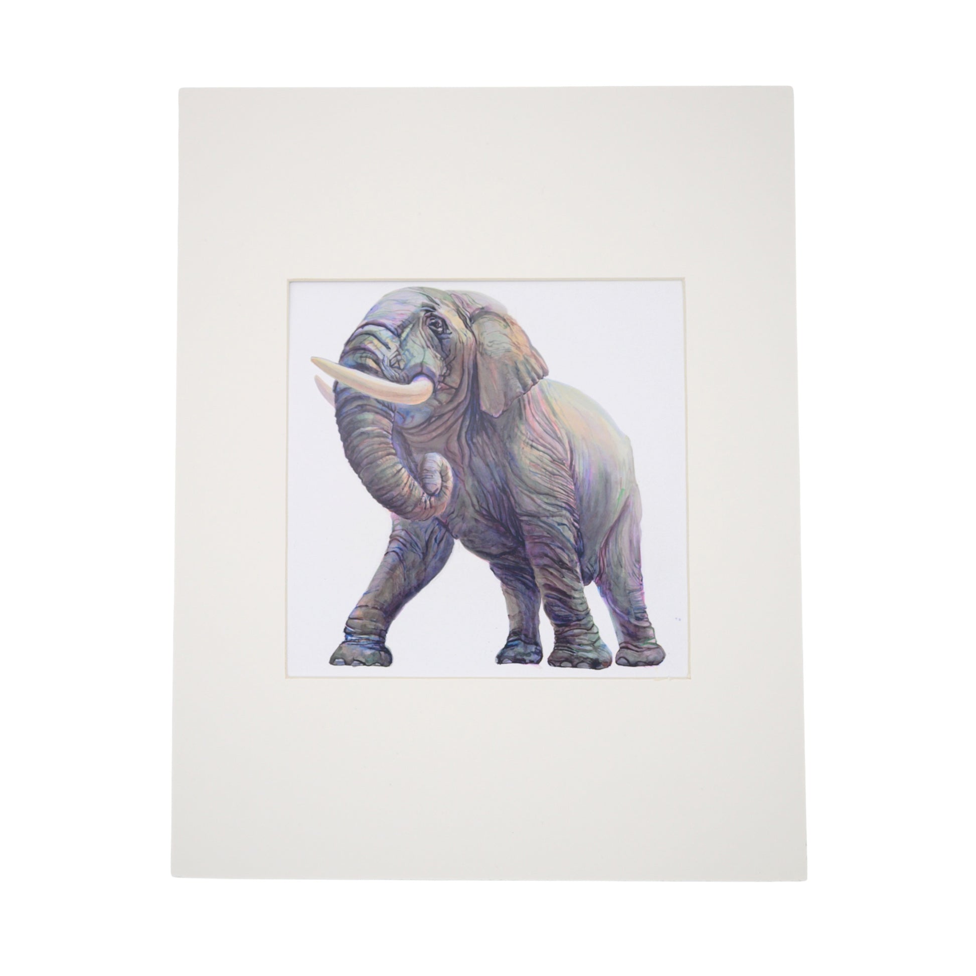 elephant-print-peggy-macnamara