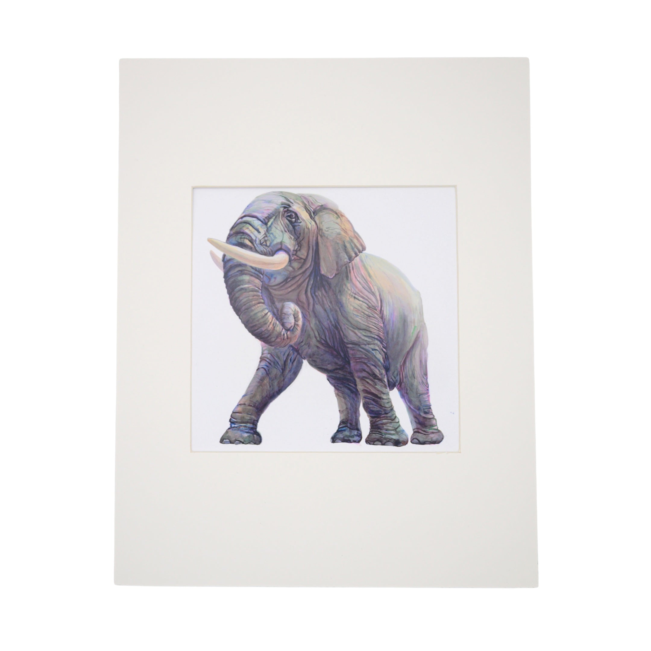 elephant-print-peggy-macnamara