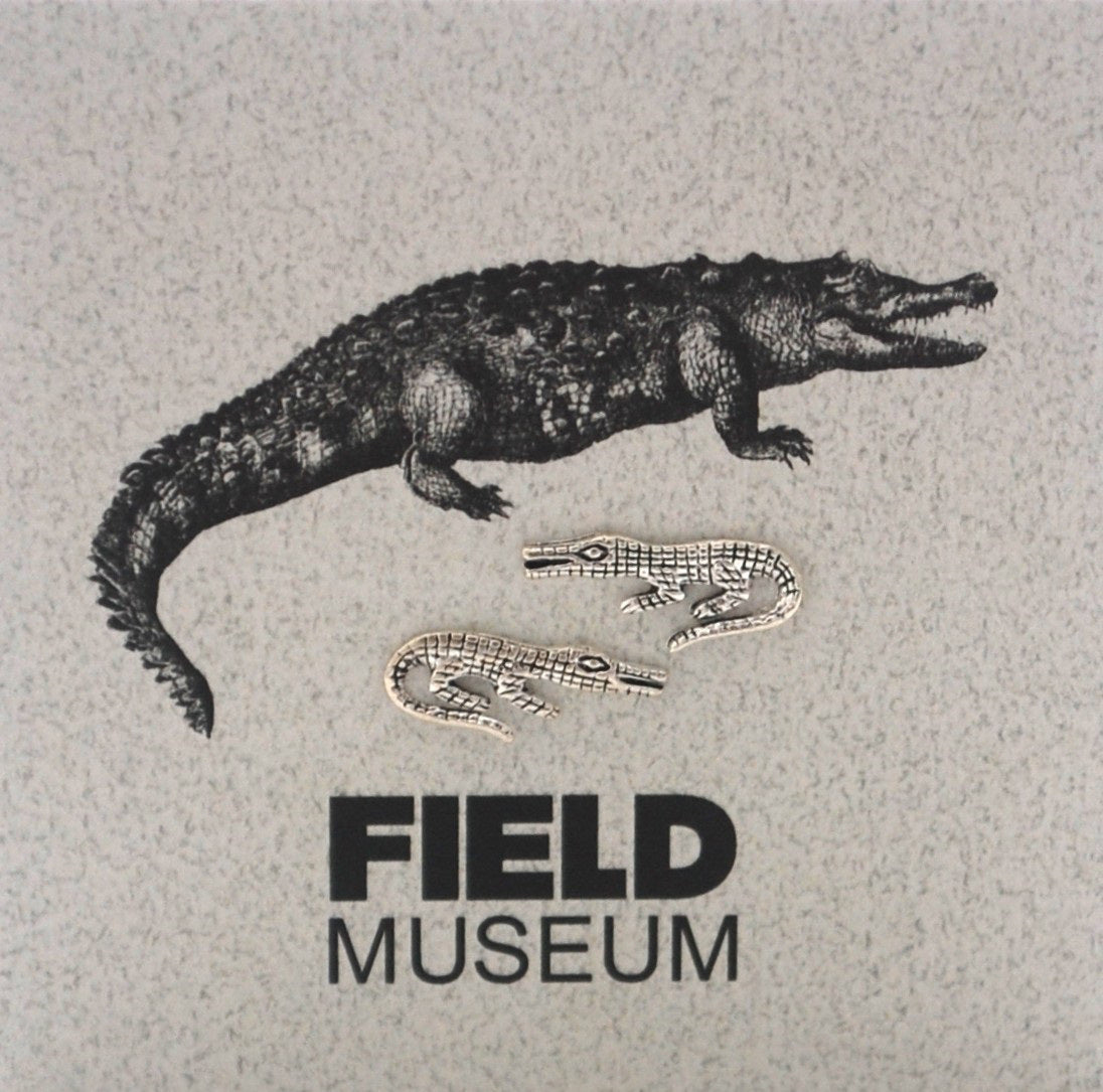 ER ALLIGATOR POST SILVER FIELD BACKER