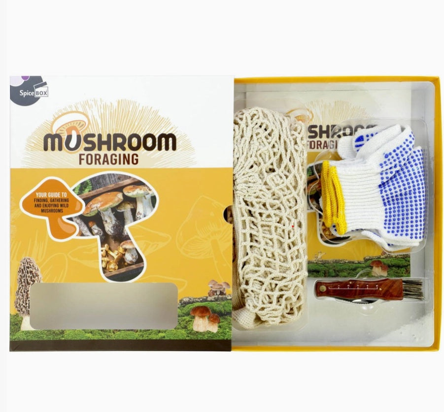 Mushroom Foraging Inside Box