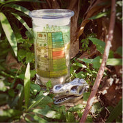 Dinosaur Excavation Candle