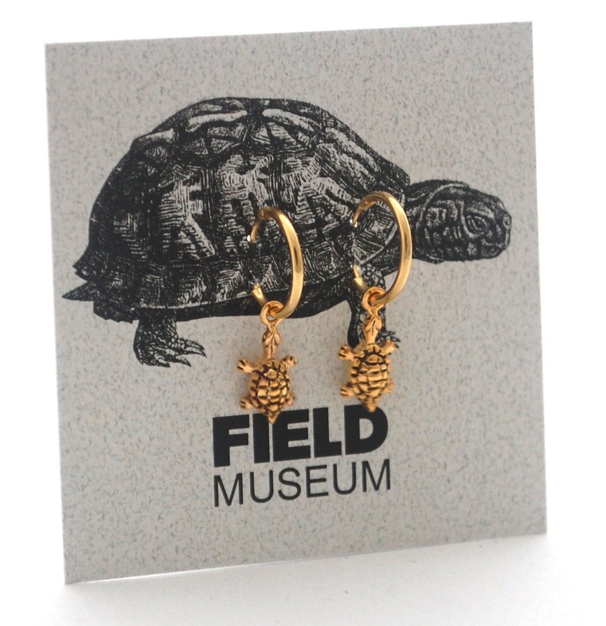 ER TURTLE HOOP GOLD FIELD BACKER