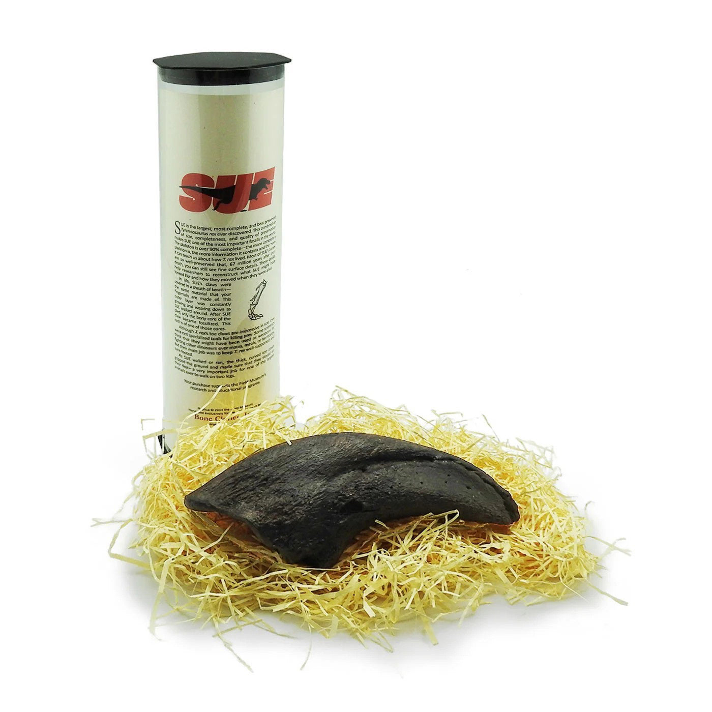 Sue the T-Rex Claw Replica