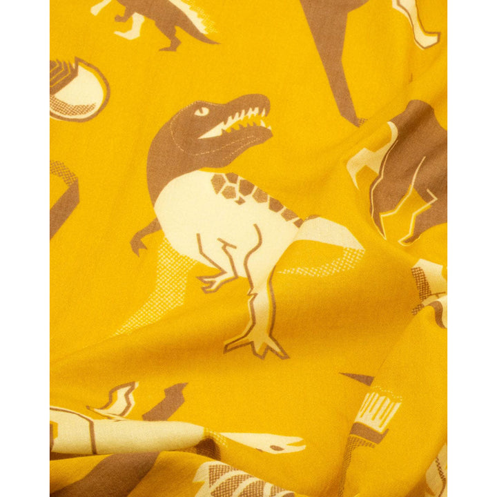 Retro Paleontology Scarf  Cognitive Surplus   