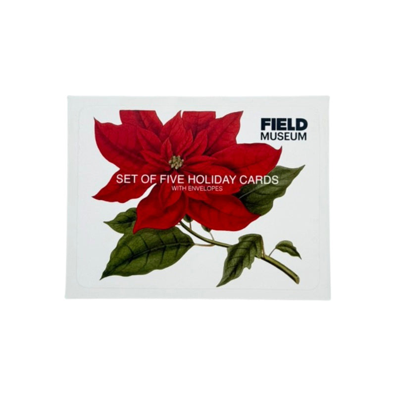 Holiday Notecard Set front