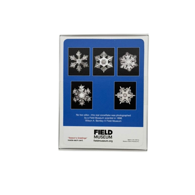 Snowflake Holiday Card Set Back