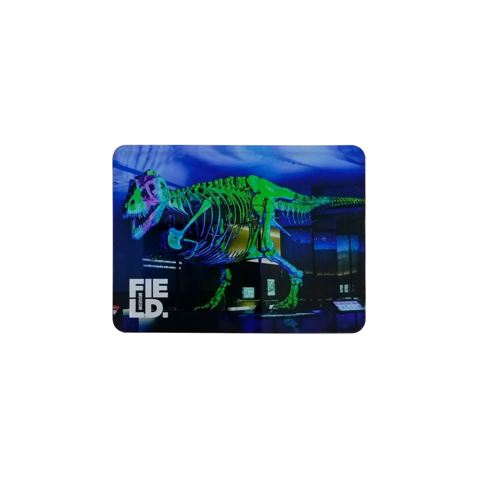 Sue the T. Rex Glow Magnet