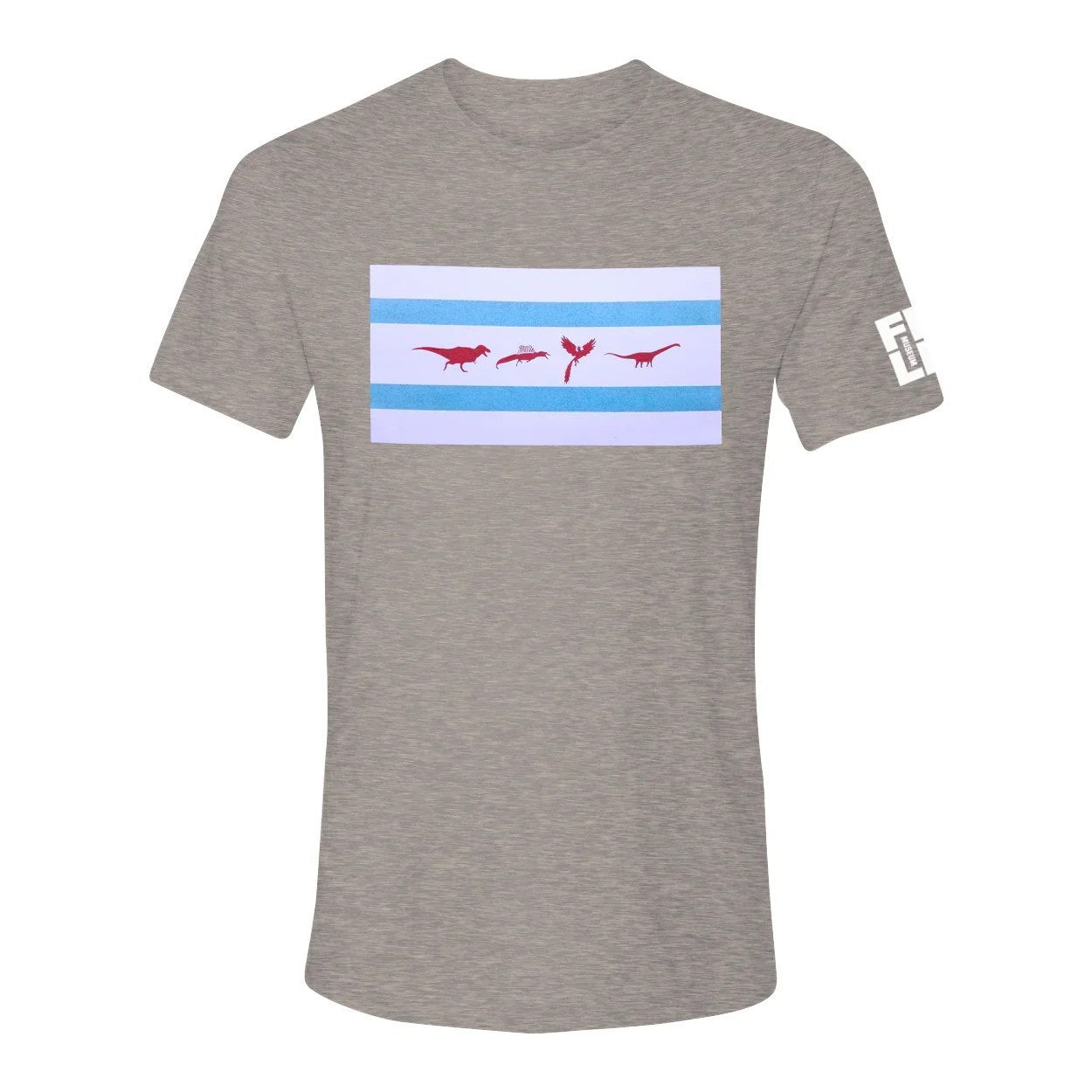 dino flag tee