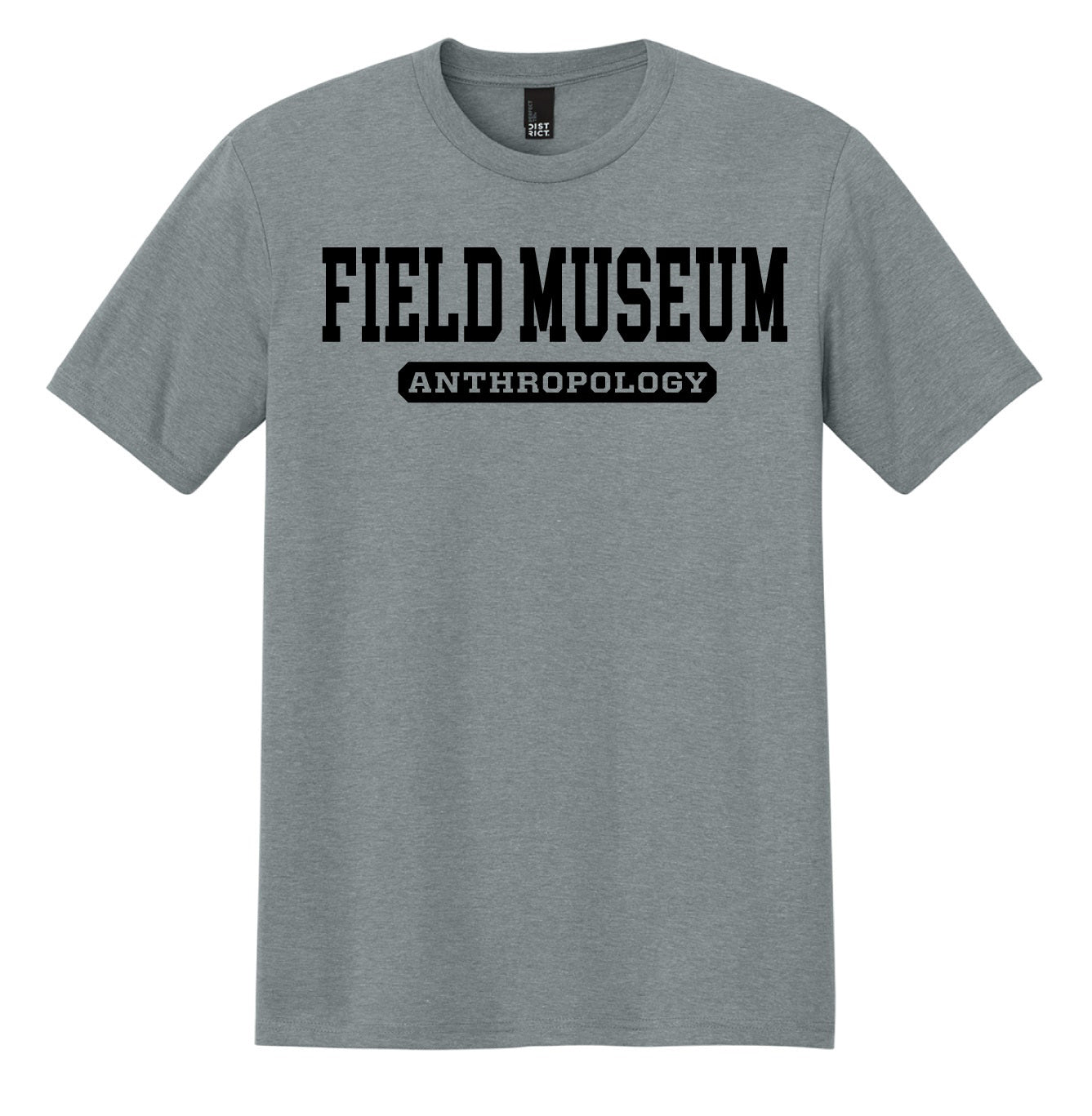 Adult Anthropology Tee