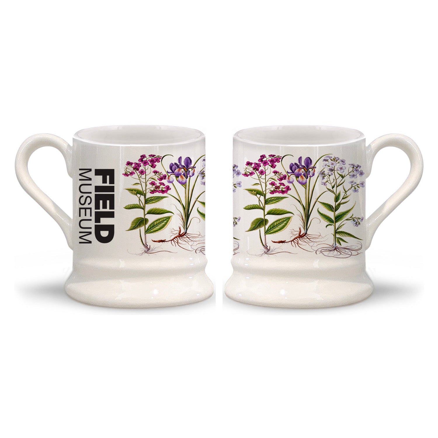Violets Mug