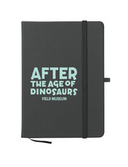NOTEBOOK AFTER THE AGE OF DINOSAURS